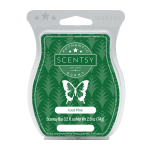 Scentsy Fragrance Iced Pine