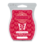 Scentsy Fragrance Very Merry Cranberry