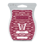Snowberry Fragrance Scentsy