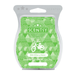 Kid Safe Fragrance Wild-What-a-Melon Scentsy