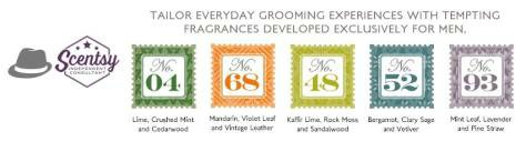 Scentsy Groom 