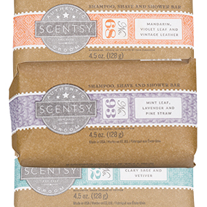 Shampoo, Shave and Shower Bar Scentsy