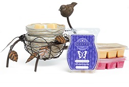Scentsy Mothers Day Warmer Bundle
